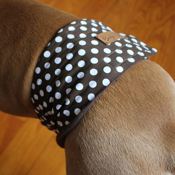 Gentleman Wrap / Gentleman Belt - for dogs - BROWN SUGAR