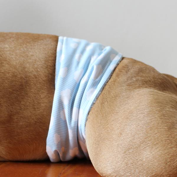 Gentleman Wrap / Gentleman Belt - for dogs - CLOUDY SKY