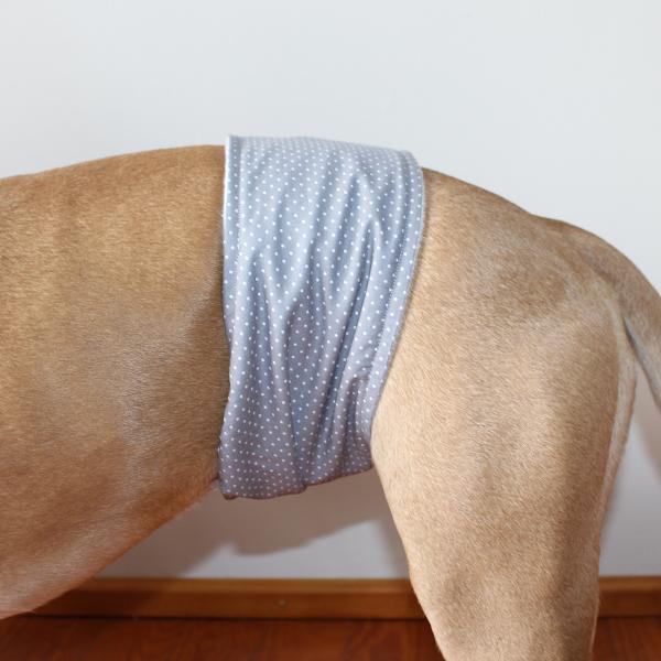 Rüdenbinde / Rüdengürtel - DOTTED SILVER