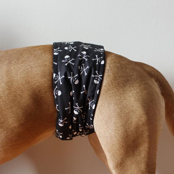 Gentleman Wrap / Gentleman Belt - for dogs - LIL` PIRATE