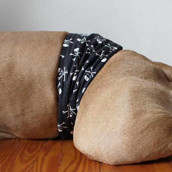 Gentleman Wrap / Gentleman Belt - for dogs - LIL` PIRATE