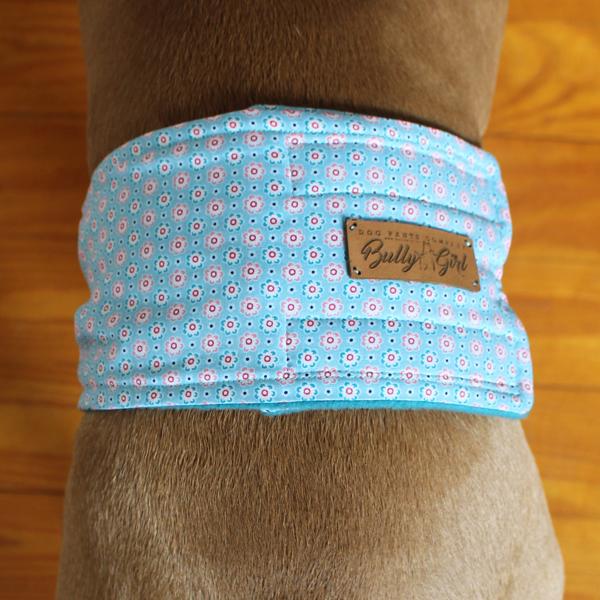 Gentleman Wrap / Gentleman Belt - for dogs - PACKED PETROL