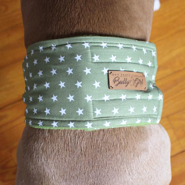 Gentleman Wrap / Gentleman Belt - for dogs - WHITE STARS ON GREEN