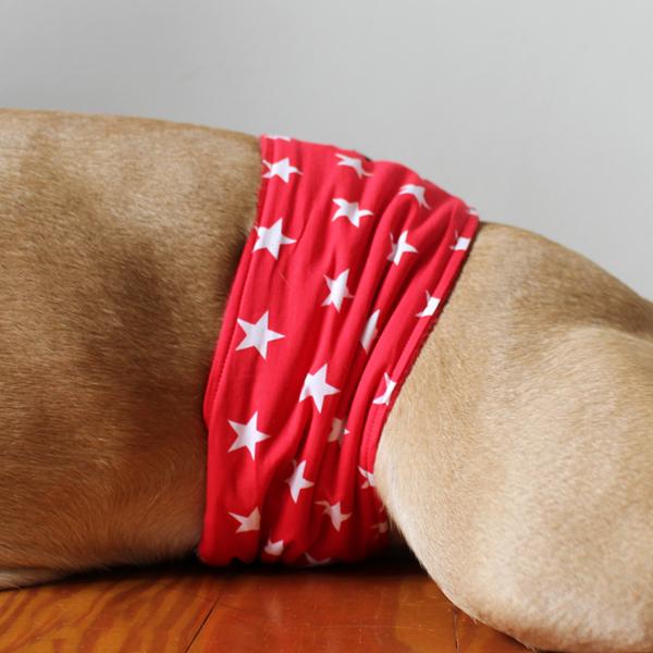 Gentleman Wrap / Gentleman Belt - for dogs - WHITE STARS ON RED