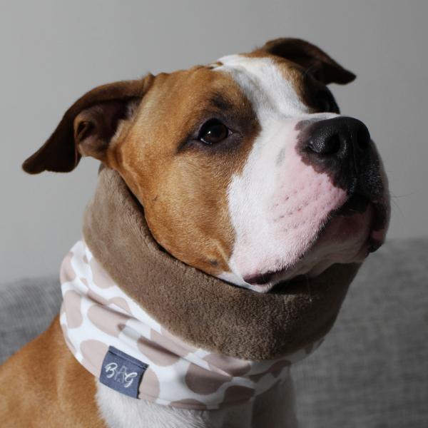 dog scarf  - LOOP - Cream Latte