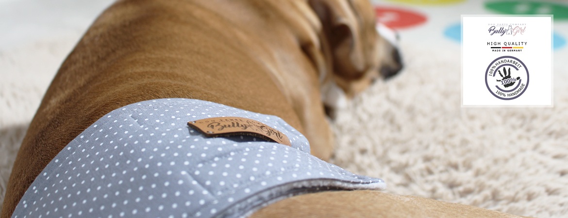 Gentleman Wraps / Belts - for dogs